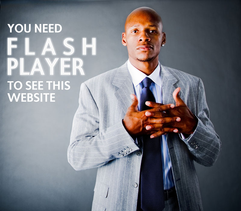 You need flash player